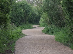path-to-financial-freedom Path to Financial Freedom