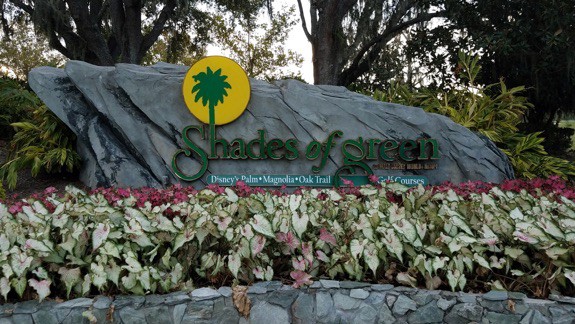 Shades of Green - Welcome